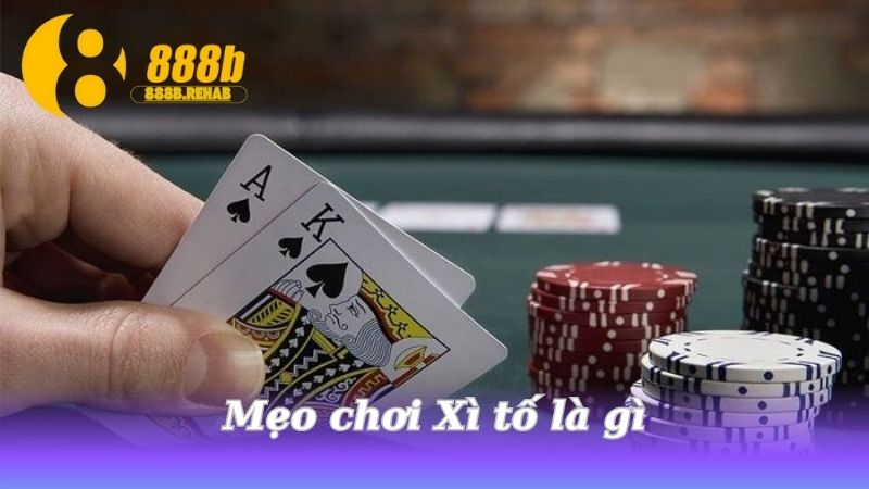 meo-choi-xi-to-la-gi
